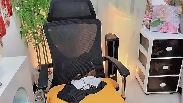 NEWONETO online show from February 13, 2:40 pm