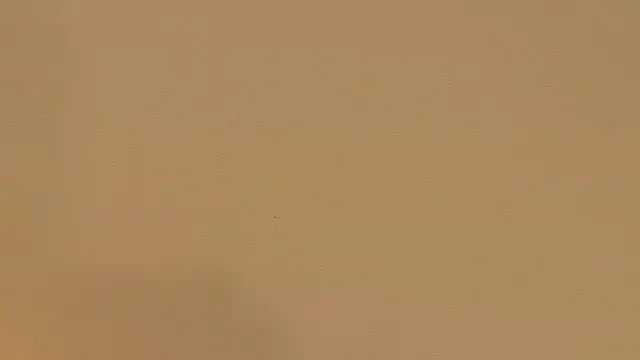 Sia a online show from December 3, 6:05 am