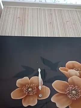 tulip-bae online show from December 20, 7:01 am