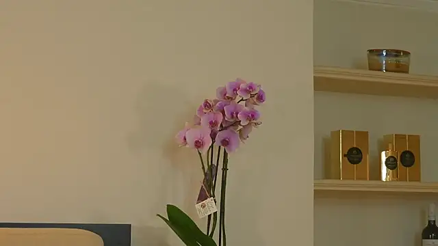 AbrilColls  online show from March 8, 3:10 am