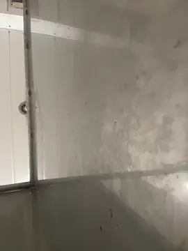 Butterfly8385 online show from December 19, 7:11 am