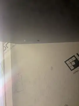 Butterfly8385 online show from March 19, 9:30 pm