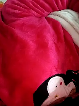 mohra  online show from December 21, 7:29 pm