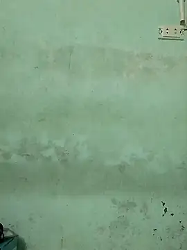  LAN  online show from November 8, 11:04 am