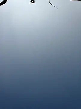 Menu x online show from January 13, 8:08 am