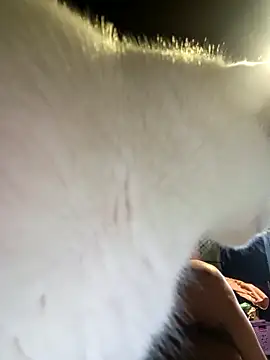 Isis Bathory online show from December 22, 1:36 pm