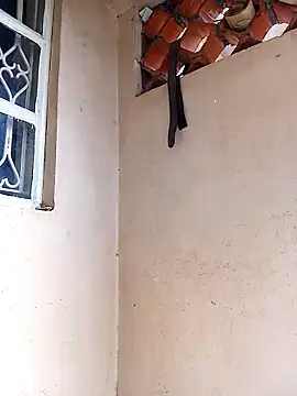 Momojasmine0 online show from February 20, 6:48 am