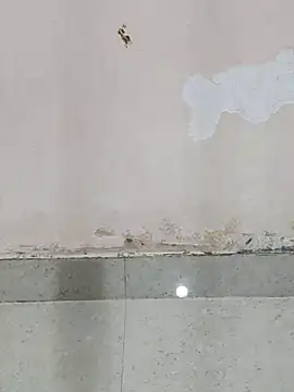 Asha devi90 online show from March 19, 4:00 pm