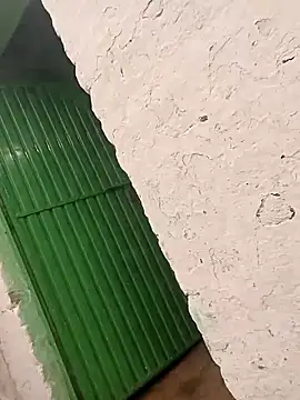 Pooja hote online show from December 22, 4:04 am