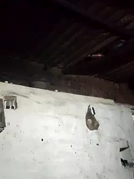 Babita Gori online show from February 2, 12:31 am