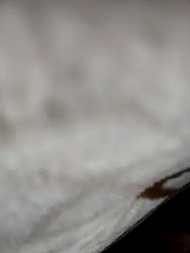 jiniya6789 online show from January 5, 6:11 pm