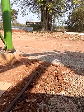 Curvy Vamikaa online show from January 13, 6:52 am