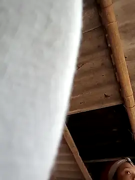 hey-bana online show from December 14, 12:49 am