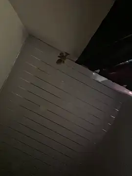 Carameloswing1 online show from March 19, 10:14 pm