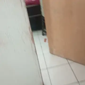  - -lu - online show from December 3, 3:47 pm