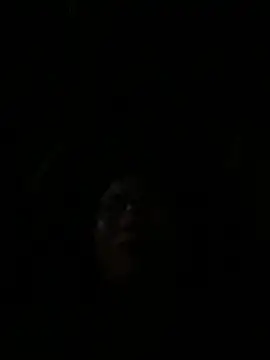 vero-obc online show from April 26, 12:52 am