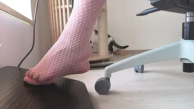 Feetbeth online show from February 11, 8:32 pm