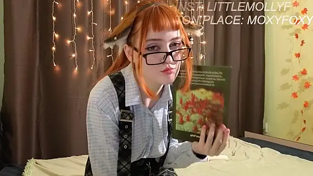 LittleFoxHole online show from February 13, 4:25 am