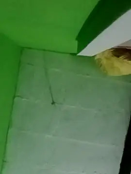 swartilodhi123 online show from February 18, 10:09 pm