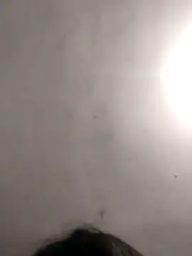 vanNe78 online show from January 14, 8:25 pm