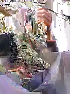 Jyoti sekh online show from February 17, 9:30 am