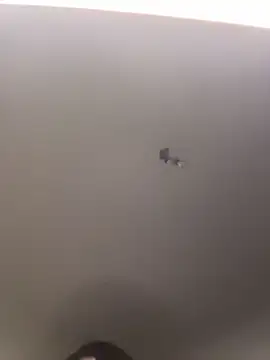 bombomcherry6 online show from February 14, 7:32 am