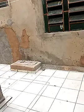 ------bucetuda------ online show from January 6, 12:09 pm