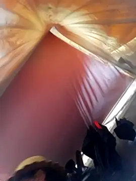 LINSA20 online show from February 3, 6:22 am