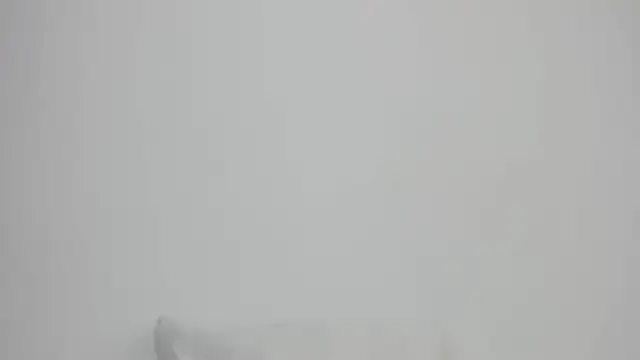 Sarah sumemers online show from February 21, 8:53 pm