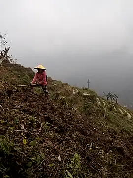 cdyyds-69 online show from March 26, 2:58 am