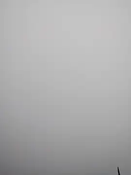 cdyyds-69 online show from March 11, 1:54 am