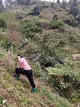 cdyyds-69 online show from March 4, 12:28 am