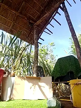 leona118 online show from March 11, 12:59 am