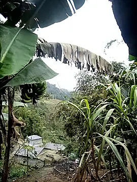 kaia-cam online show from February 20, 6:37 am