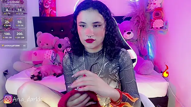 AriaDark online show from February 13, 9:27 pm