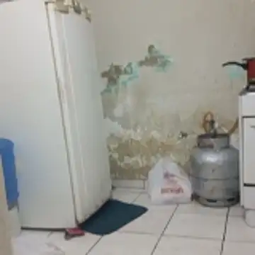       BUCETA   RASPADA    online show from January 19, 2:41 am