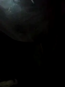 Hoa-haiduong online show from February 20, 9:55 am