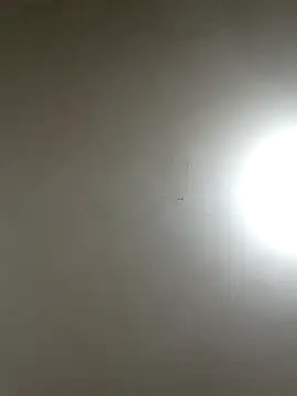 Cati cat3 online show from February 4, 2:14 am