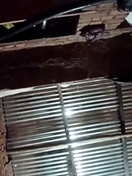 Hot ree64 online show from March 27, 5:24 pm