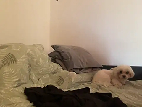 Blondniunia online show from March 2, 1:18 pm