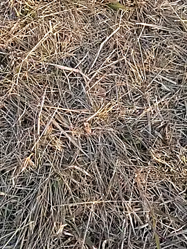 Kiran hote online show from February 13, 11:56 am