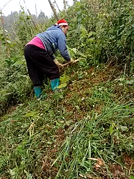 nelina 12345 online show from March 18, 3:44 am