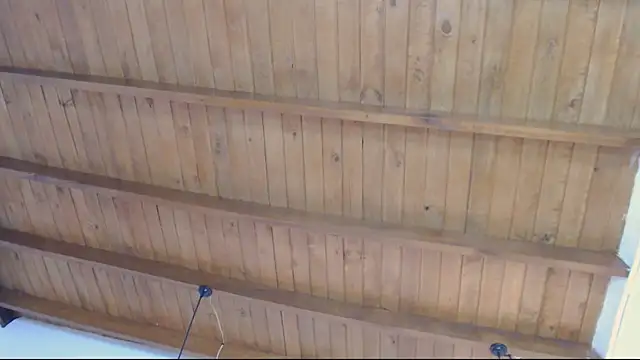 alien eyes09 online show from March 10, 2:26 am