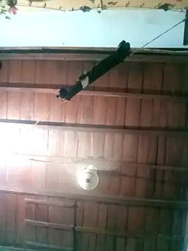 BreezySexyGirl69 online show from April 27, 11:07 am