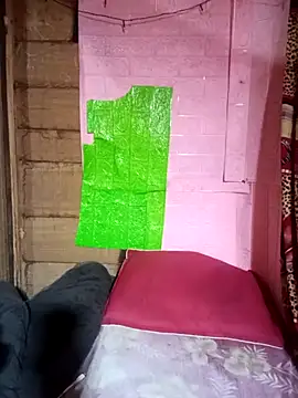 Meo-catwet online show from March 28, 2:05 pm