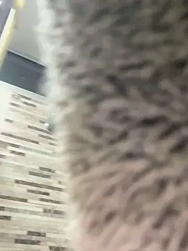 DestinyTornn online show from March 8, 12:51 am