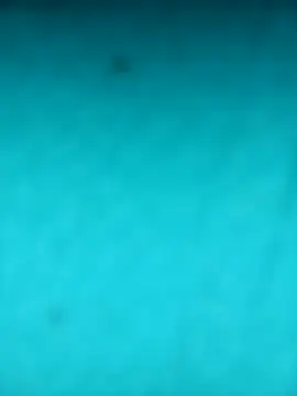 scarlett leex  online show from April 12, 7:55 am