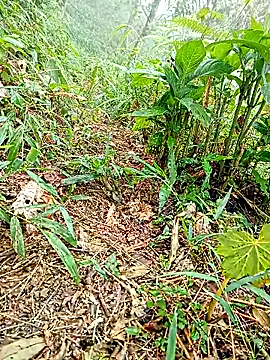 maymay121 online show from April 18, 10:07 am