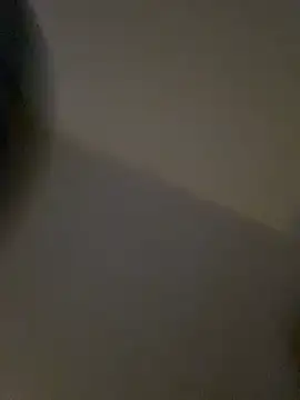 Valerials online show from April 12, 2:36 am