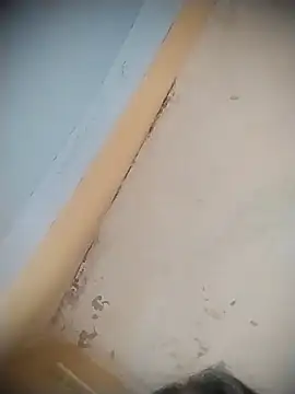 mille20 online show from April 12, 8:11 pm